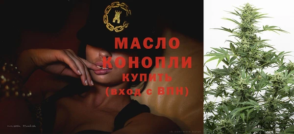 прущие крисы Ельня