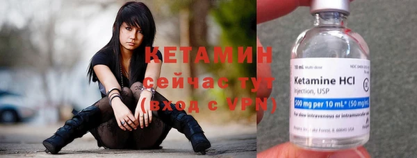 прущие крисы Ельня