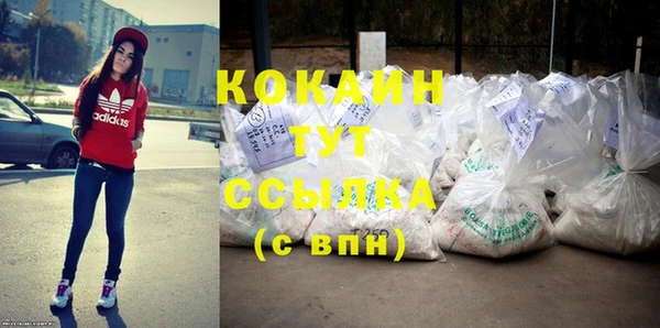 прущие крисы Ельня