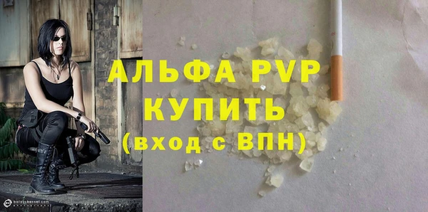 прущие крисы Ельня
