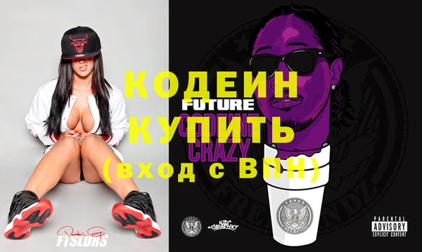 прущие крисы Ельня